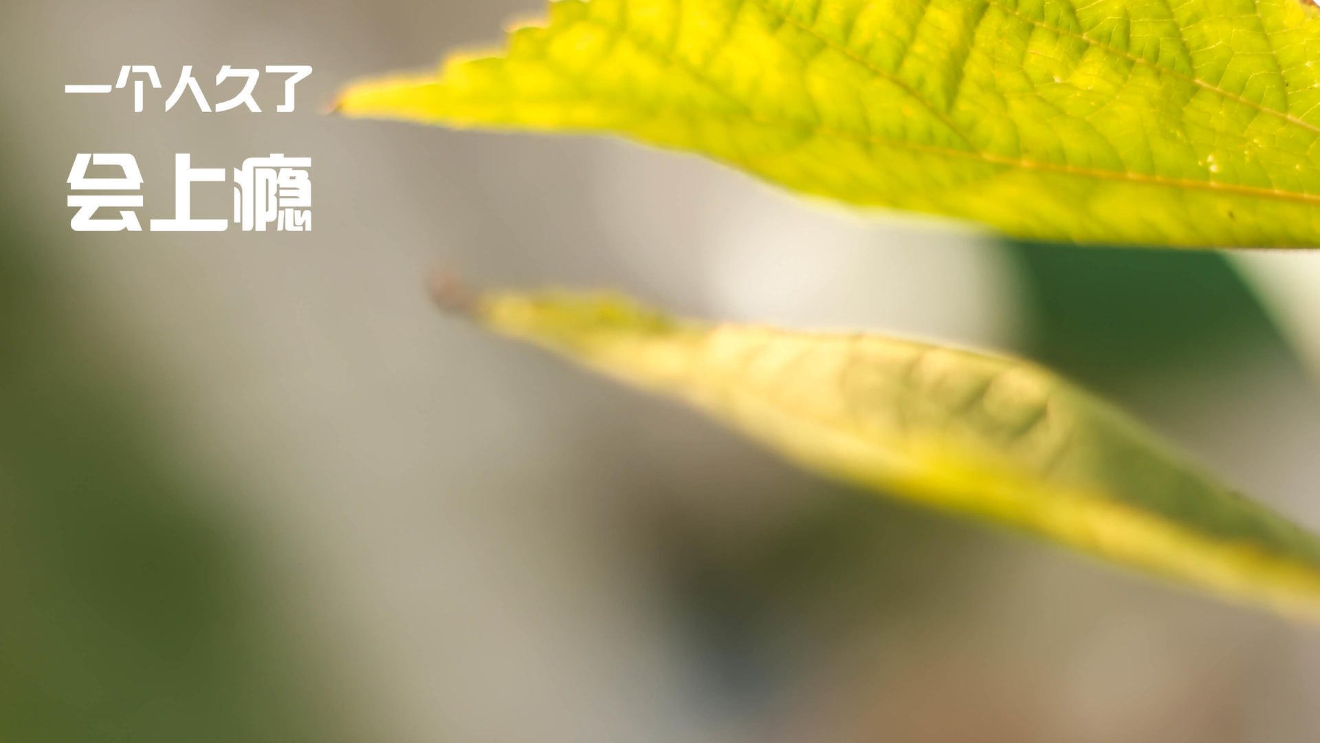 校园体育科技节品牌打造路径研究，请问学校科技或体育节的海报写一则简短的宣传语