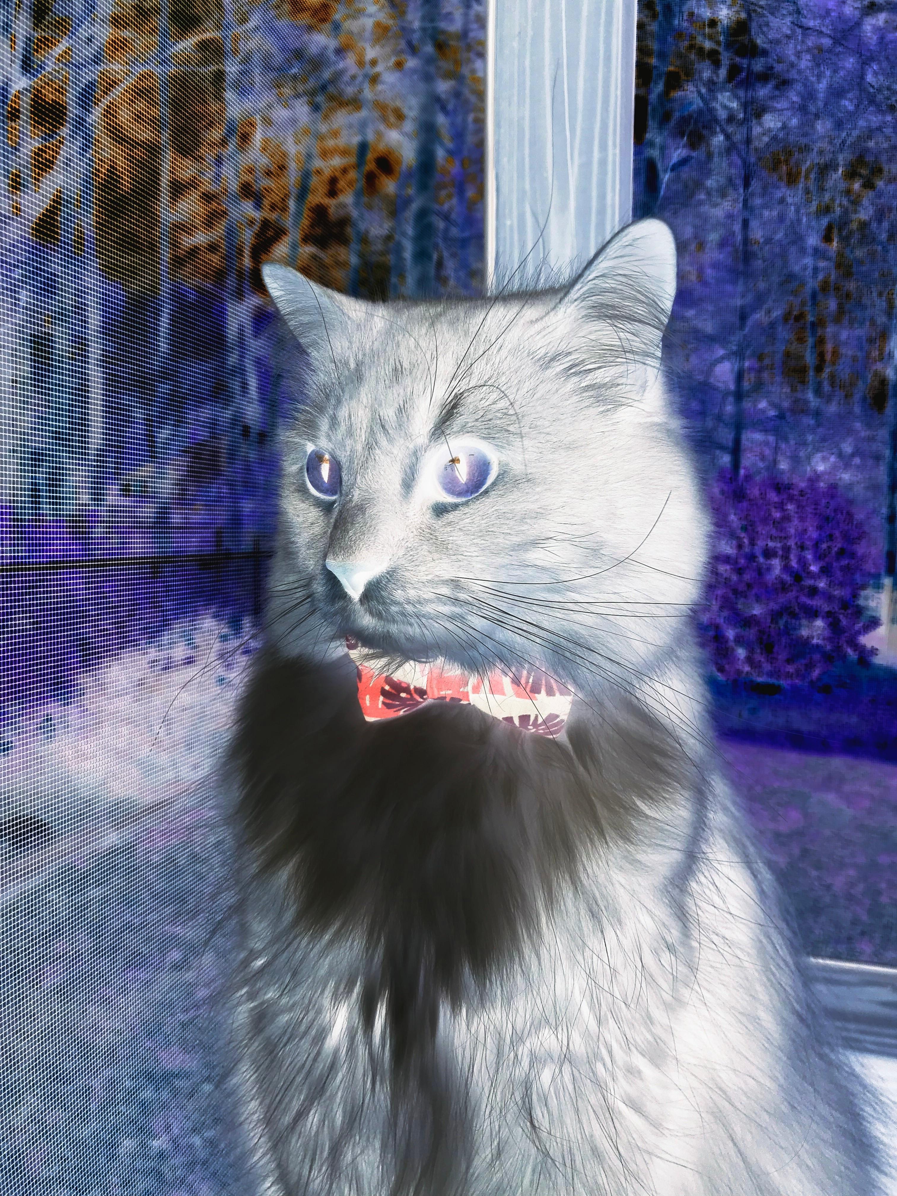 主教练更替后球队传控风格是否立刻改变，球队主教练的职责