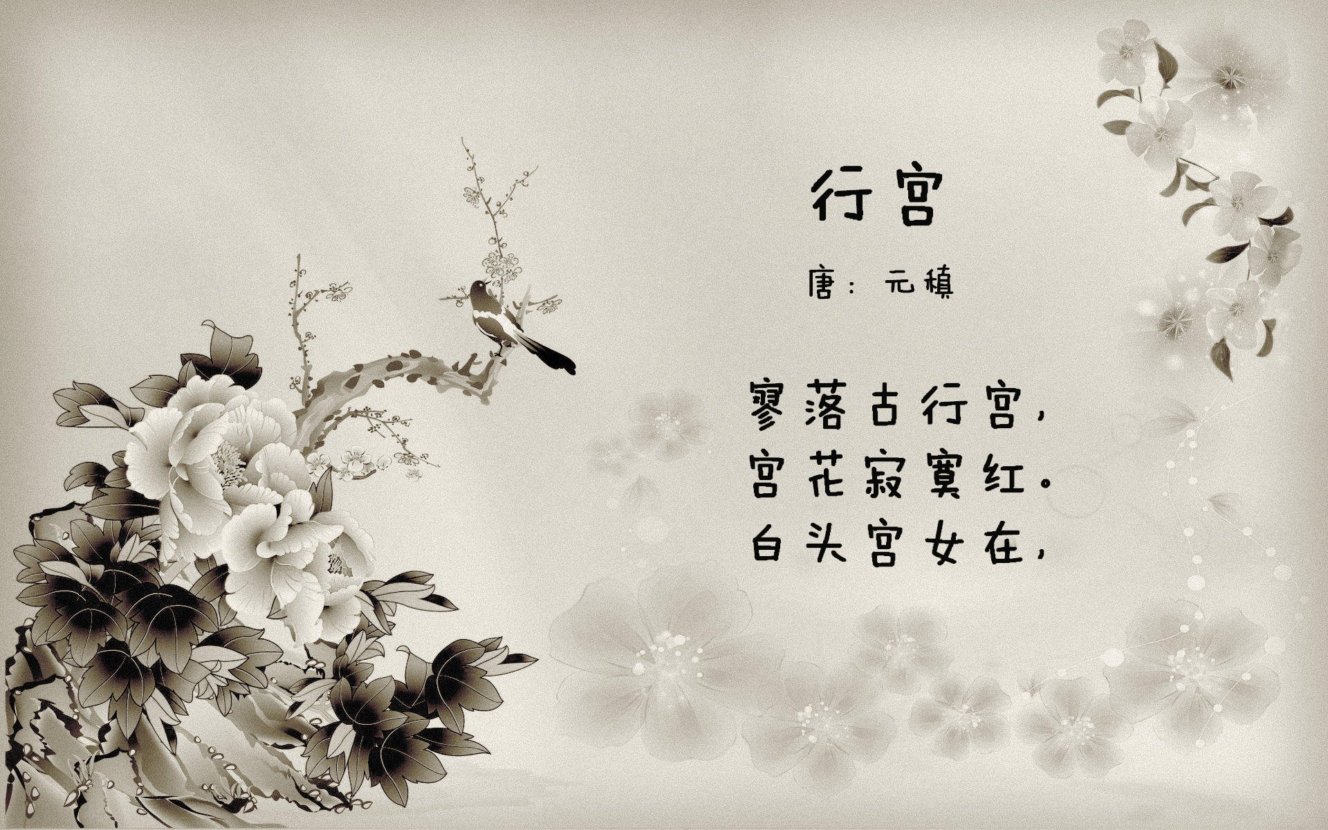 水球关键场次突尼斯团结应对