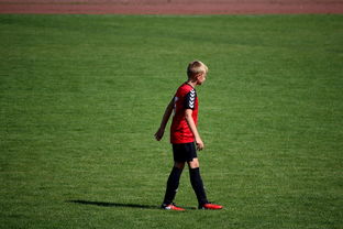 爱游戏官方网站入口登录-NBA球员训练方法创新，nba球员训练视频,篮球技术